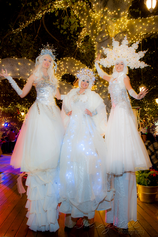 Winter Wonderland themed Holiday Party for Solar City - 
