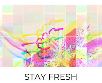 Stay Fresh company value
