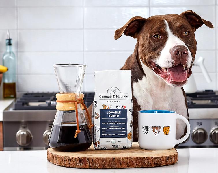 Coffee and dog