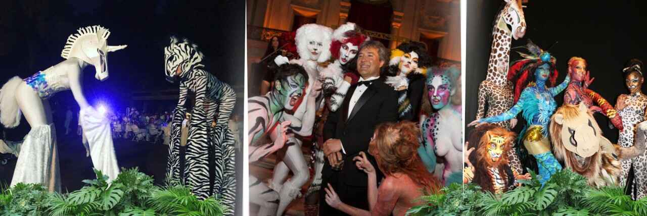 Party Animals Collage