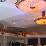Aerialist Hanging from the ceiling