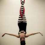 Circus Variety Entertainment by Catalyst Arts Eventertainment California aerialist