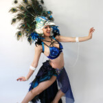 Peacock Showgirl