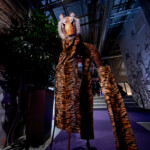 Circus Entertainment by Catalyst Arts
